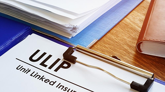 What is a Unit Linked Insurance Plan (ULIP)