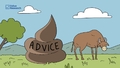 Some ruminations on bovine excreta