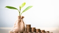 Fund Analyst's Choice: Four short-duration funds handpicked by our analysts