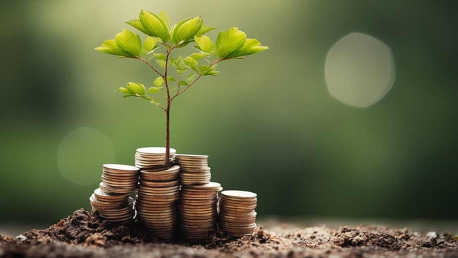 Active funds grow from strength to strength