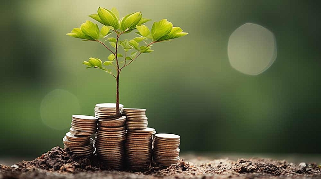 Active funds grow from strength to strength