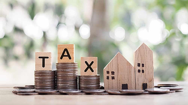 ELSS funds continue outperforming despite falling popularity