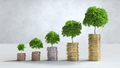 Top-rated funds
