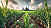 Godavari Biorefineries IPO analysis