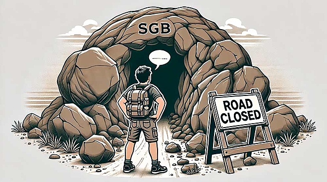 SGBs on hold: What other ways can you invest in gold?