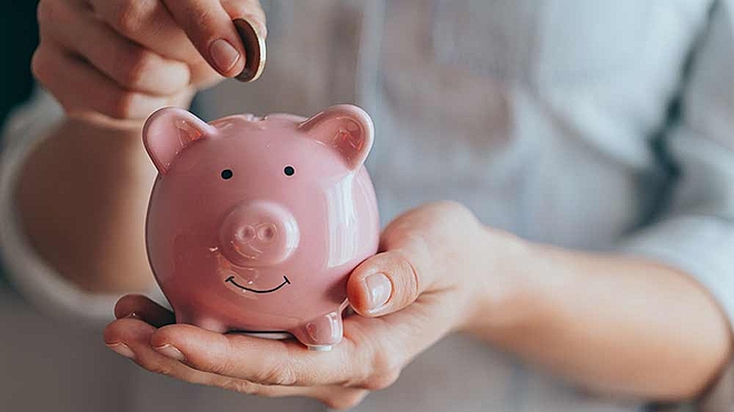 equity-savings-funds-growth-stability