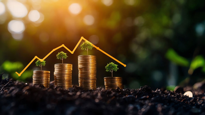 The fund that tumbled from glory to gloom