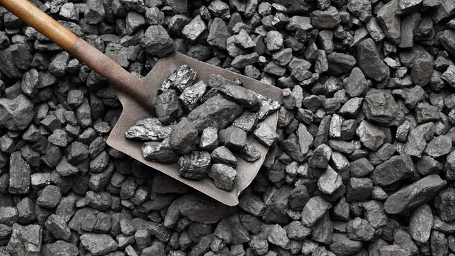 Why you should consider investing in Coal India