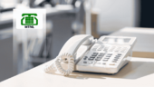 MTNL के शेयर में 15% से ज्यादा की उछाल, इन वजहों से टूट पड़े निवेशक