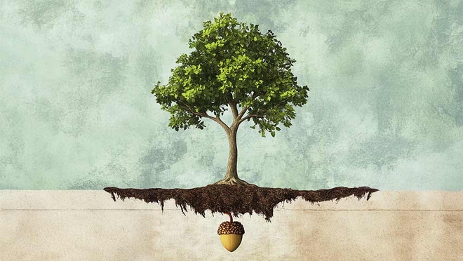 क्या ₹25,000 की SIP शुरू करने की योजना है? यहां निवेश करने के लिए 3 फंड दिए गए हैं