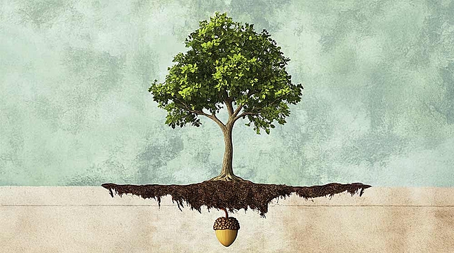 Planning to start Rs 25,000 SIP? Here are 3 funds to invest in