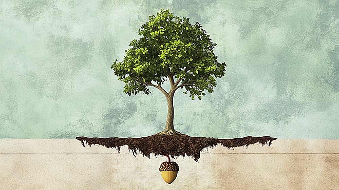 planning-rs-25000-sip-invest-these-3-funds