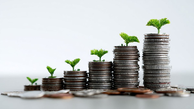 The one mutual fund every investor should have