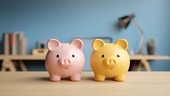 Franchise funds: Will your favourite funds soon have twins?