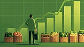DMart shares rally 7%: Which 5 mutual funds gain most?
