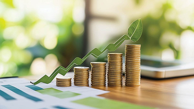 Using Stock Ratings to find promising small caps high on quality