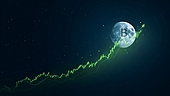 Inside this Bitcoin 'proxy' stock's meteoric 4x rally