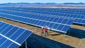 Waaree Energies takes a hit as US probe spooks D-Street