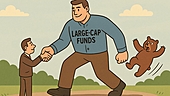 Who should invest in a large-cap fund?