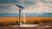 The frothy renewable space still has 2 cheap outliers