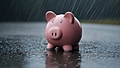 Earnings may change with weather. Quality endures