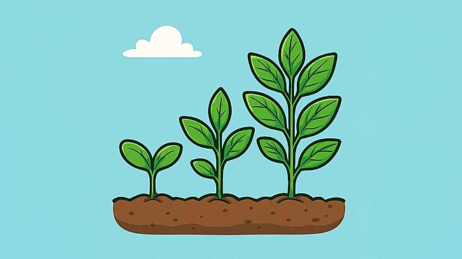 पिछले 5 सालों के 3 सबसे ज़्यादा सुधरे हुए स्मॉल-कैप फ़ंड्स