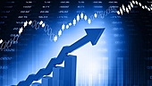 Large-Cap Stocks