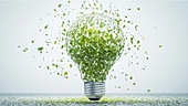 Energy & Power Stocks