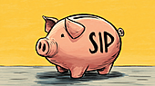 ​​​​​​​How to Pick Top SIP Mutual Funds Using 5 Key Performance Metrics
