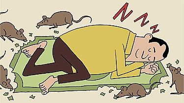 Comfort is expensive