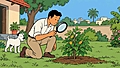 The growth the market missed
