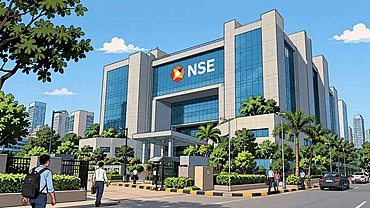 NSE IPO: A growing market, a shrinking share