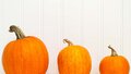 Why company size matters for your portfolio