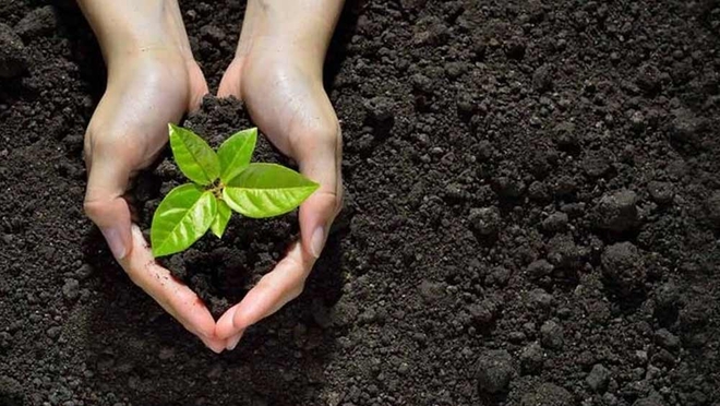 कैसा हो आपका पहला म्‍युचुअल फंड 