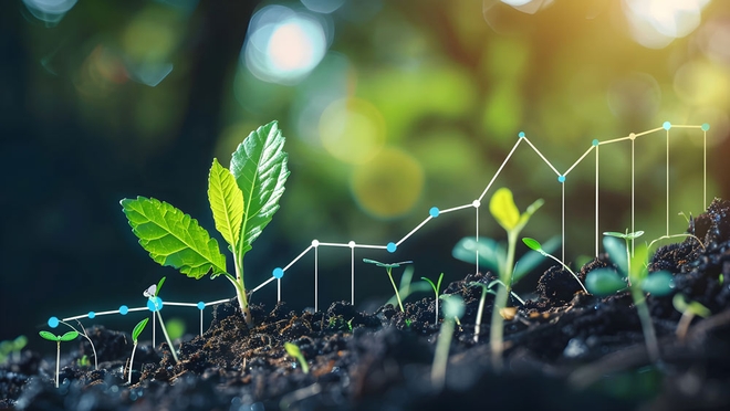 Sectors with fragmented profits