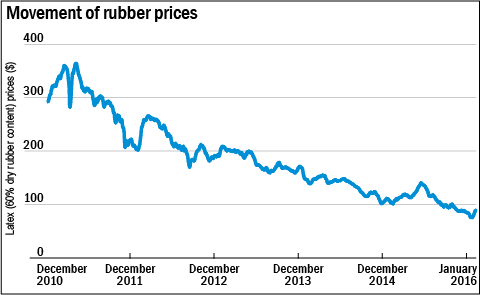 Should you ride on tyre-makers?