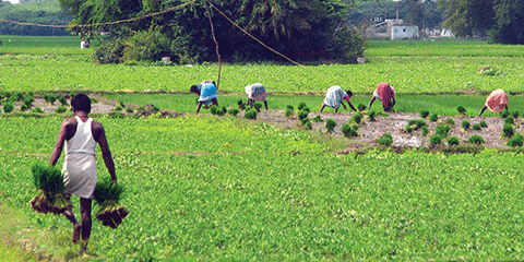 The trouble with slow agri growth