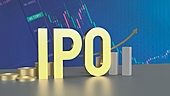Endurance Technologies IPO - Should you buy