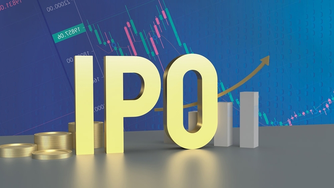 Endurance Technologies IPO - Should you buy