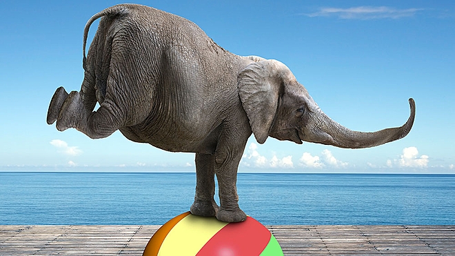 indian-funds-versus-global-goliaths