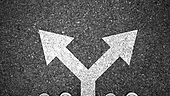 Dealing with the change