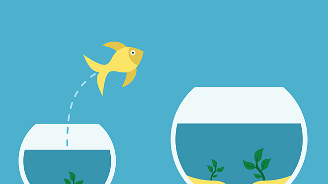 In order to avoid portfolio risks, fund houses often alter the market-cap allocations in their equity schemes