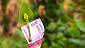 Where should I invest Rs 3 lakh to get a monthly income after 10 years?