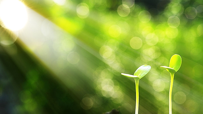 Simple makes you money