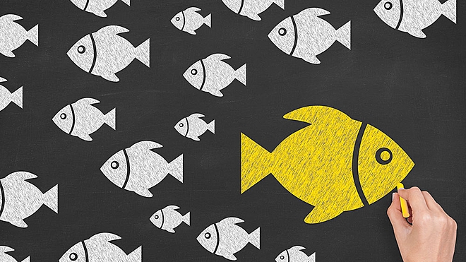 Here are some of the strategies employed by good funds to limit the
losses during a market fall