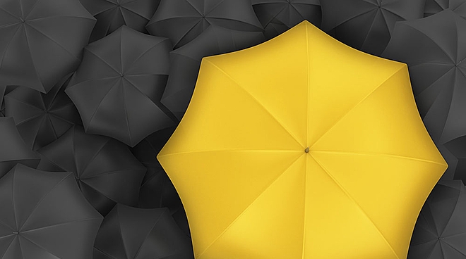 Assessing reinsurance companies