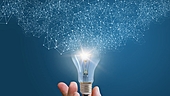 Embrace disruptions