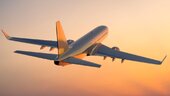 Profitable trends: Time to fly