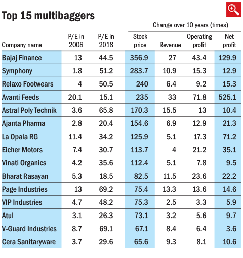 What makes a stock multibagger?