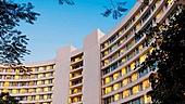 Chalet Hotels: Information Analysis